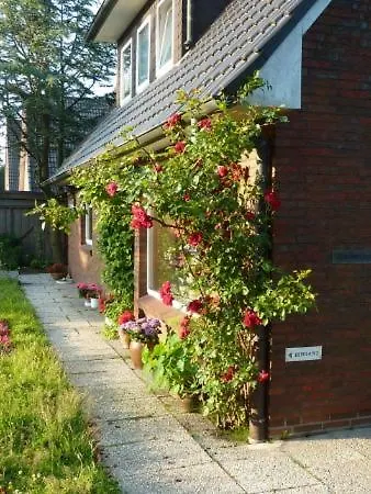 Appartement Whg. Oslo Aparts In Weiss Böhl